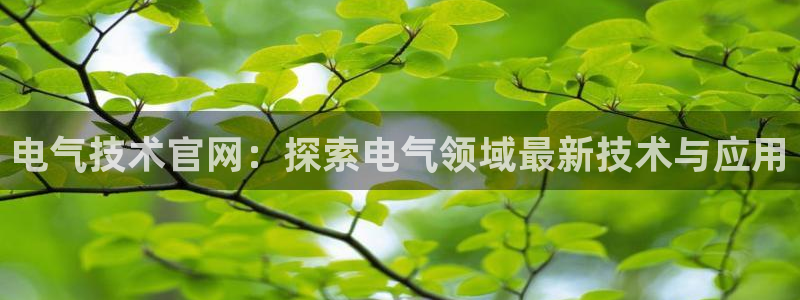 凯发娱乐官方网站：电气技术官网：探索电气领域最新技