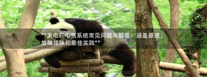 国际凯发k8真人版旗舰厅