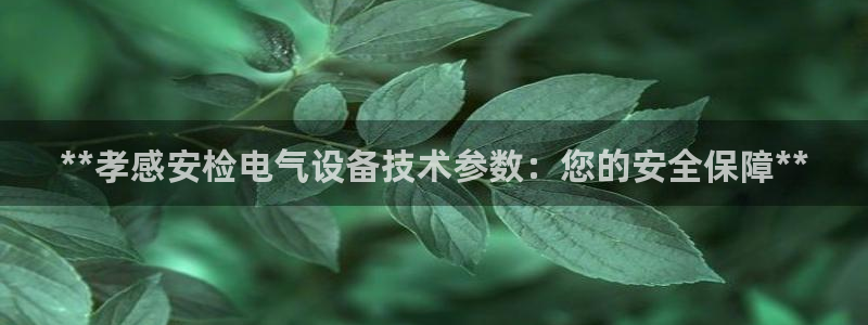 凯发k8娱乐官网手机端中心