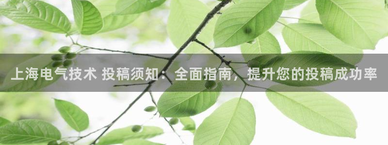 凯发娱乐国际厅