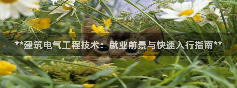 凯发就来凯发天生赢家一触即发