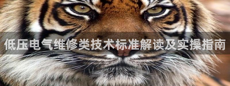 凯发娱乐唯一官网