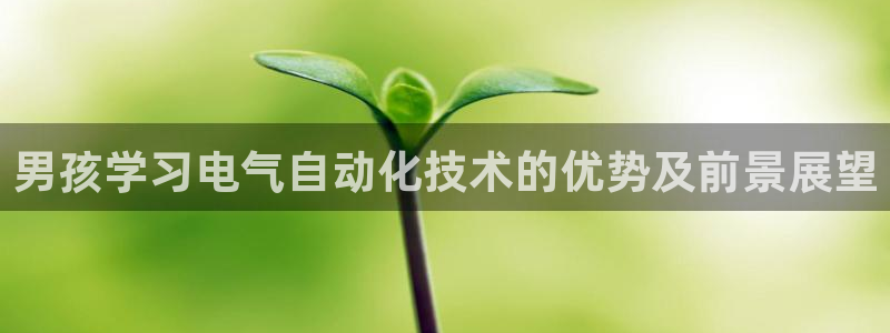 凯发平台开户