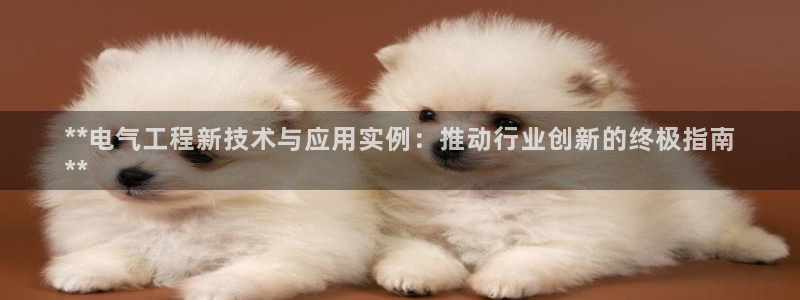 凯发网址直营