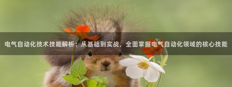 凯发k8网站是多少：电气自动化技术技能解析：从基础