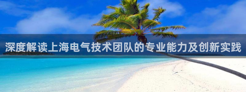 凯发k8娱乐真人旗舰厅客服：深度解读上海电气技术团
