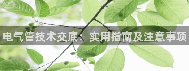 凯发官网登录手机版：电气管技术交底：实用指南及注意